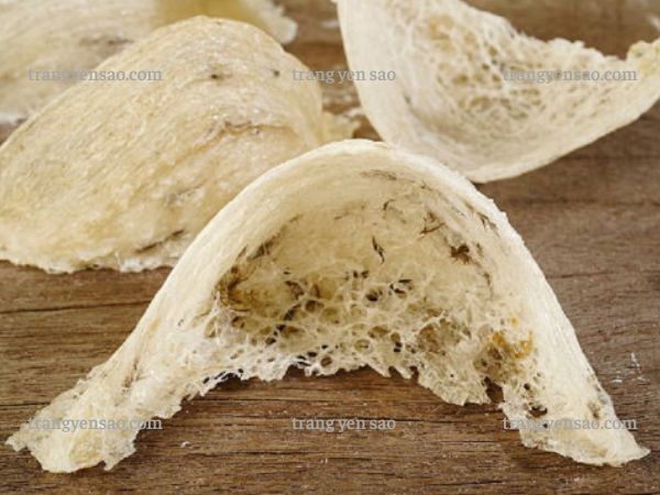 tổ yến sào thô còn lông