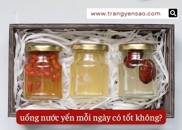 uong-nuoc-yen-moi-ngay-co-tot-khong