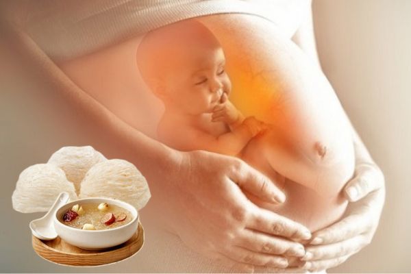 ăn yến có giúp thai nhi tăng cân không