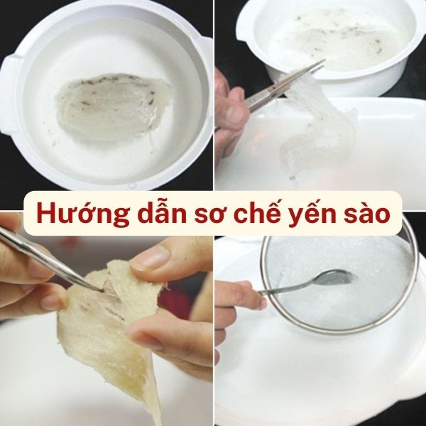 Hướng dẫn sơ chế yến sào