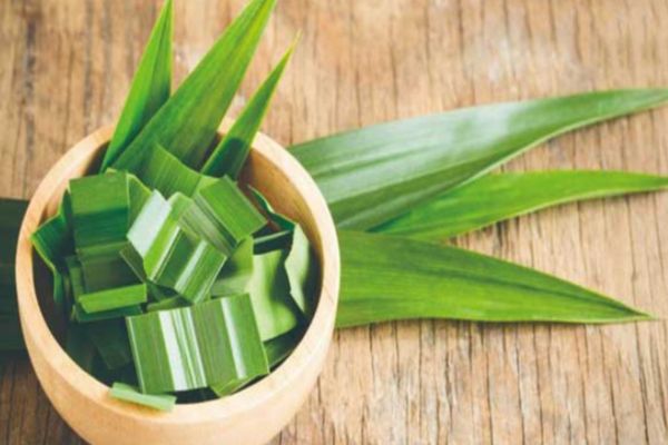 yến chưng với gì
