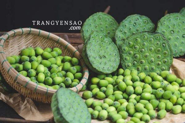 Cách chưng yến hạt sen tươi