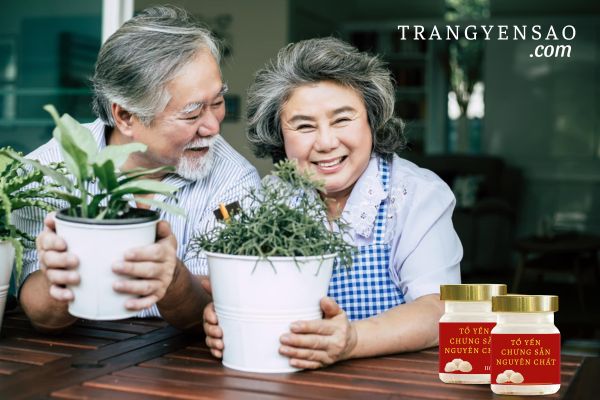 Nước yến tốt cho người già