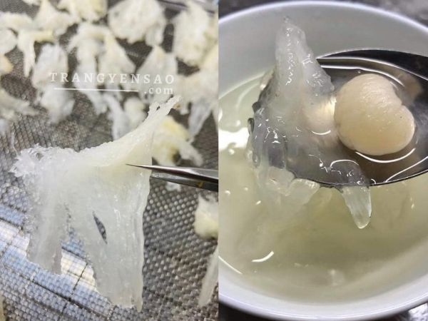Chân tổ yến tinh chế – trangyensao.com