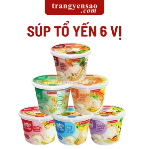 súp tổ yến yến sào nha trang