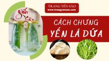 Cách Chưng Yến Lá Dứa Thơm Ngọt