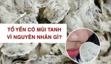 Tổ Yến Có Mùi Tanh Vì Nguyên Nhân Gì?