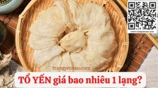 TỔ YẾN GIÁ BAO NHIÊU 1 LẠNG?